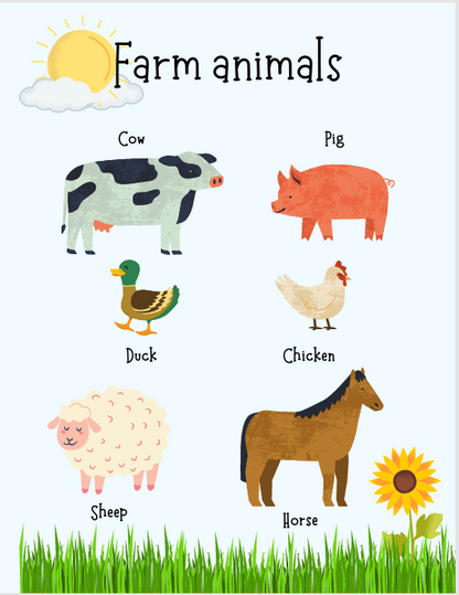 600+ Brain & Hand Coordination Fun Educational Worksheets for Kids (Ages 2–7) | Digital Download – Kidzomart